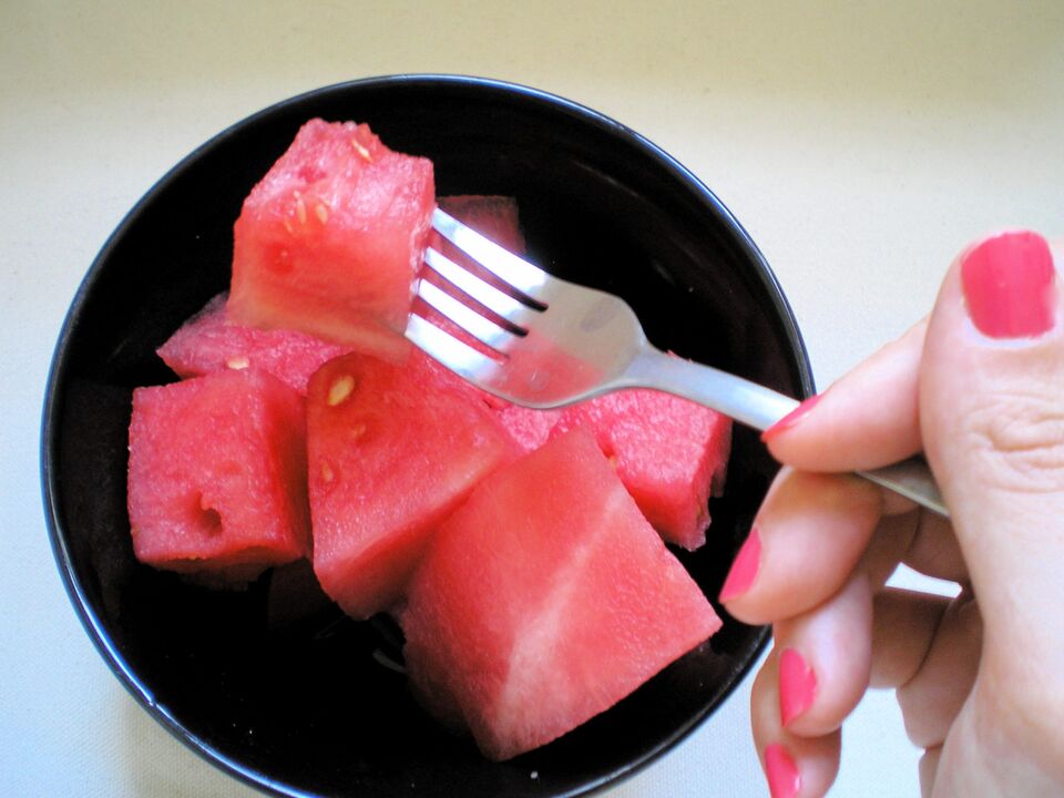 Sandia dietaren funtzionamendu printzipioa